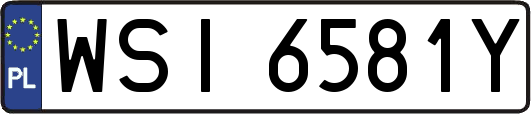 WSI6581Y