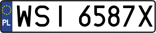 WSI6587X