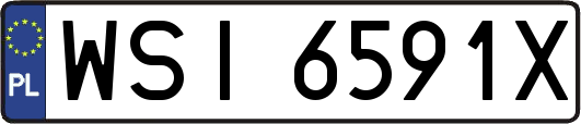 WSI6591X