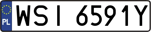 WSI6591Y