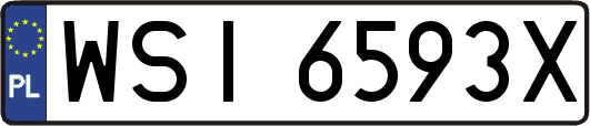 WSI6593X