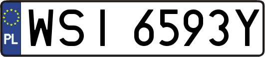 WSI6593Y