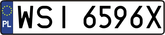 WSI6596X