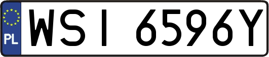 WSI6596Y