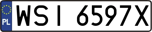 WSI6597X