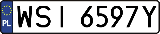 WSI6597Y