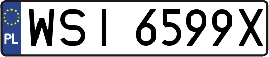 WSI6599X