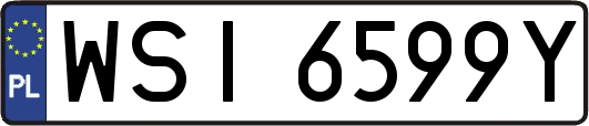 WSI6599Y