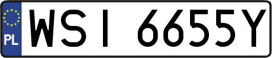 WSI6655Y