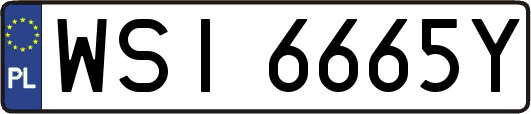 WSI6665Y