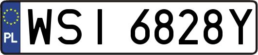 WSI6828Y