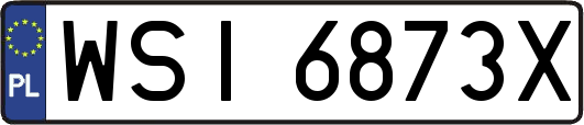 WSI6873X