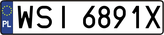 WSI6891X
