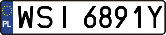 WSI6891Y