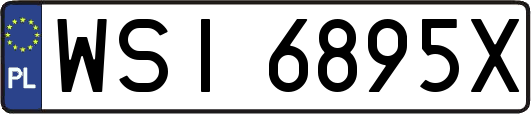 WSI6895X