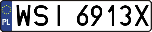 WSI6913X