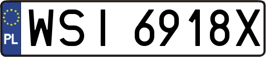 WSI6918X