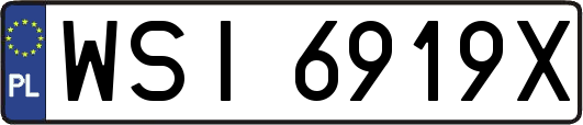 WSI6919X