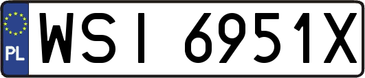 WSI6951X