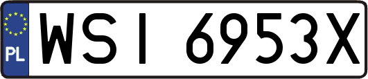 WSI6953X