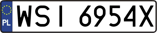 WSI6954X