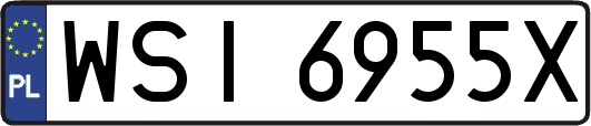 WSI6955X