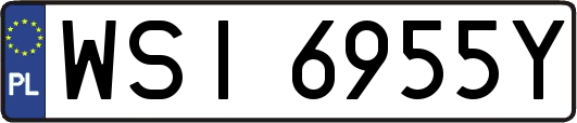 WSI6955Y
