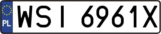 WSI6961X