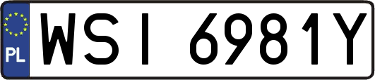 WSI6981Y