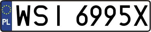 WSI6995X