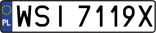 WSI7119X