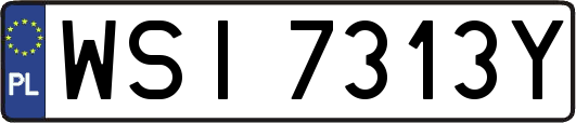 WSI7313Y