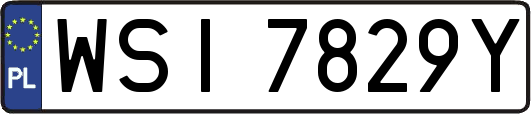 WSI7829Y
