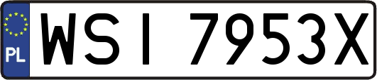 WSI7953X