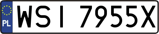WSI7955X