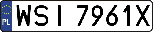 WSI7961X