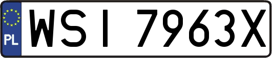 WSI7963X