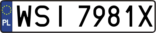 WSI7981X