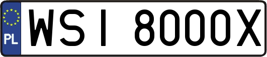 WSI8000X