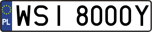 WSI8000Y