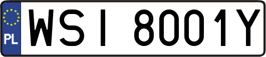 WSI8001Y