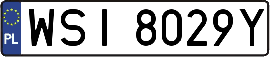 WSI8029Y
