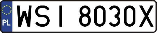 WSI8030X