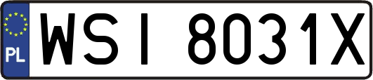 WSI8031X