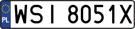 WSI8051X
