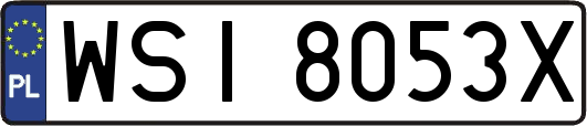 WSI8053X