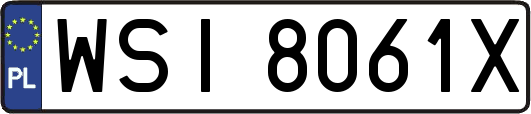 WSI8061X