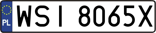 WSI8065X