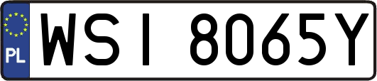WSI8065Y