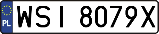 WSI8079X